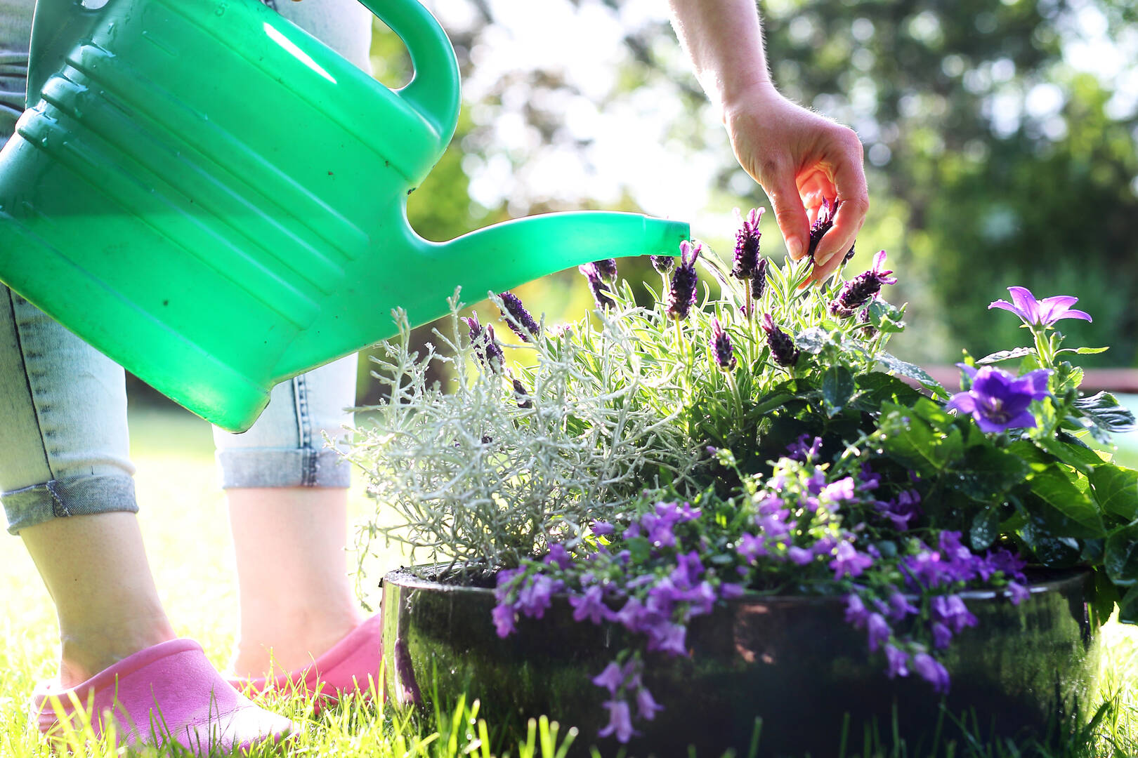 Forrest Exterminating Service Powered by HomePro Pest Control