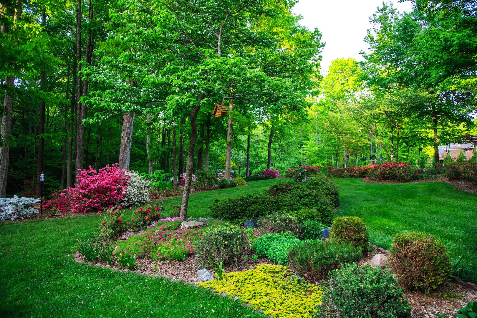 Stump Grinding Service Westfield NJ