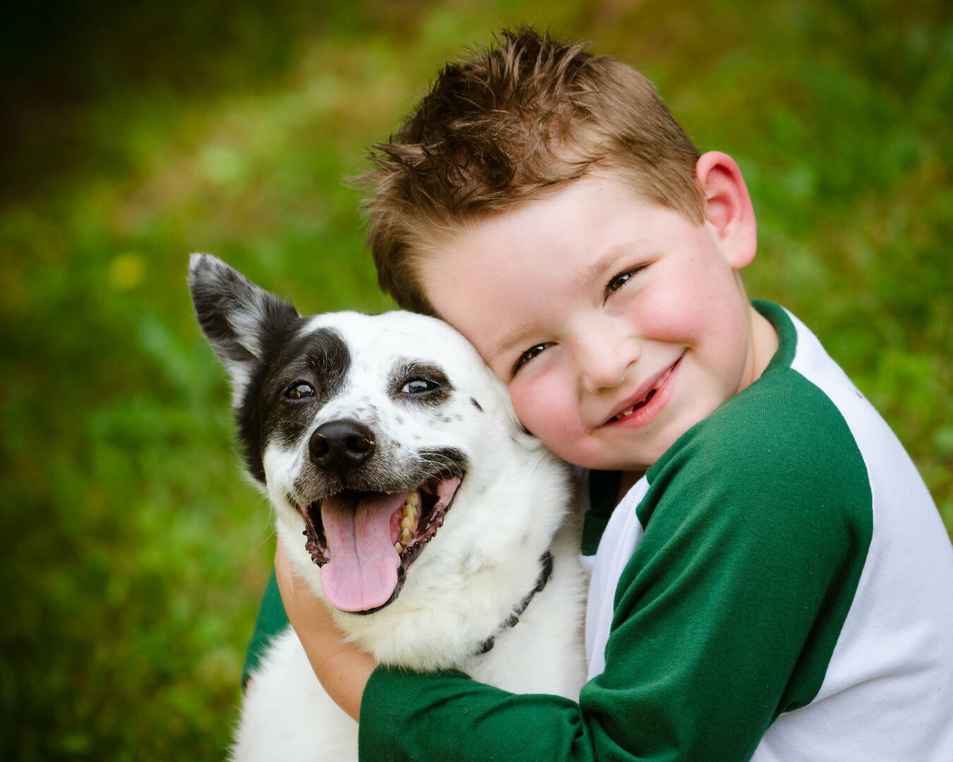 Clovis Veterinary Hospital P A