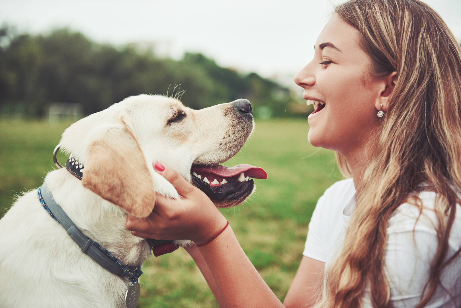 Out of This World Dog Training