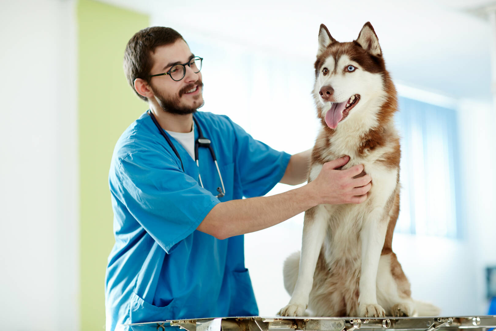 Beaver Dam Veterinary Clinic